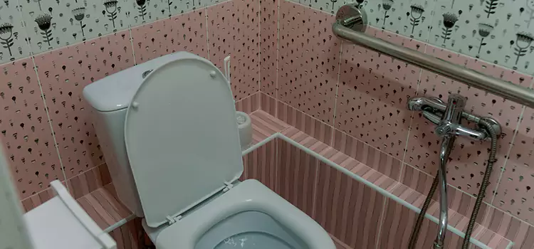 Meeting Diverse Needs With Accessible Restroom Solutions in Fresno, TX
